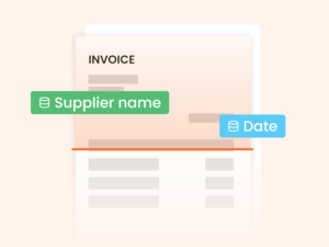 N2F Accounts Payable